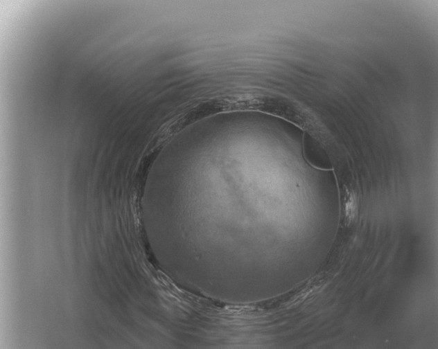 X0000067390819200604071751