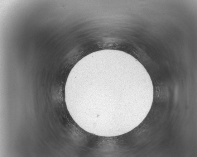 X0000067390820200604071751