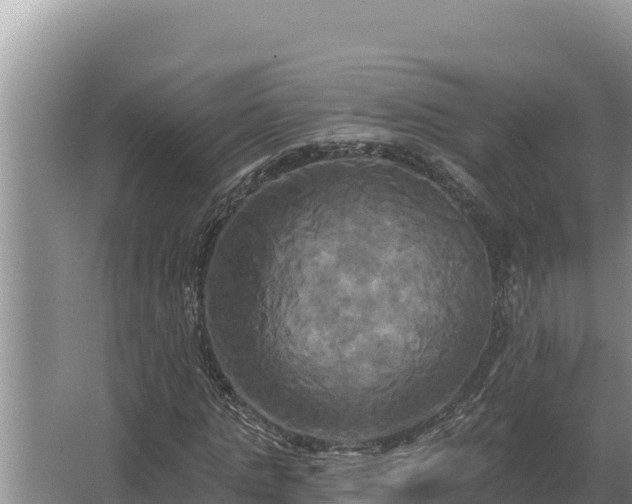 X0000067390821200604071751