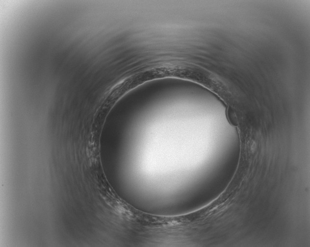 X0000067390822200604071751