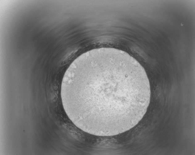 X0000067390824200604071751