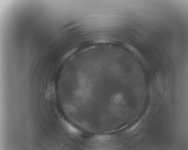 X0000067390825200604071751