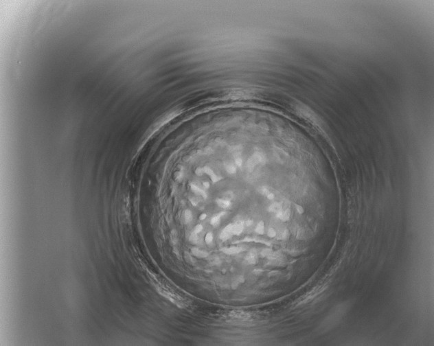 X0000067390827200604071751