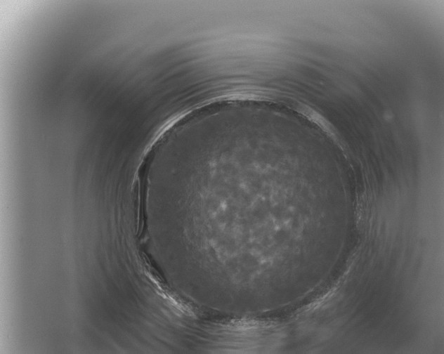 X0000067390829200604071751