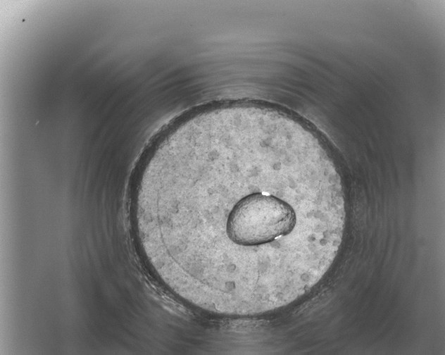 X0000067390832200604071751