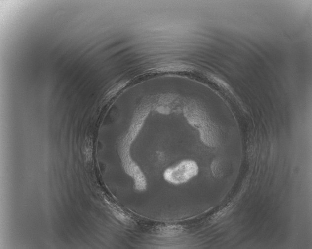 X0000067390833200604071751