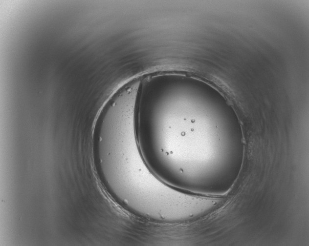 X0000067390836200604071751