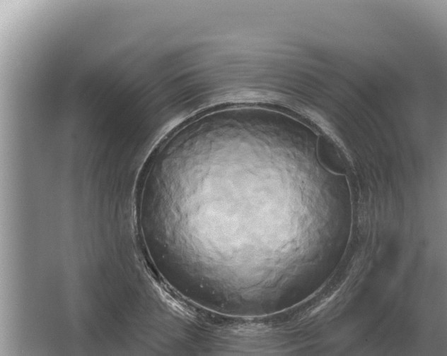 X0000067390837200604071751