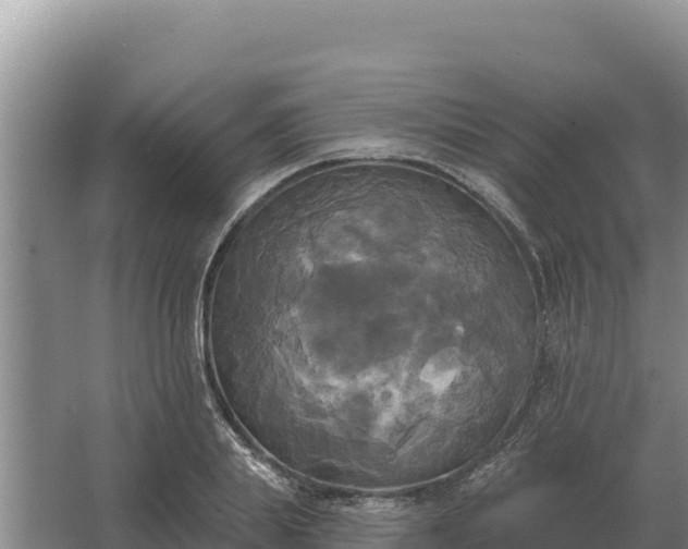 X0000067390839200604071751