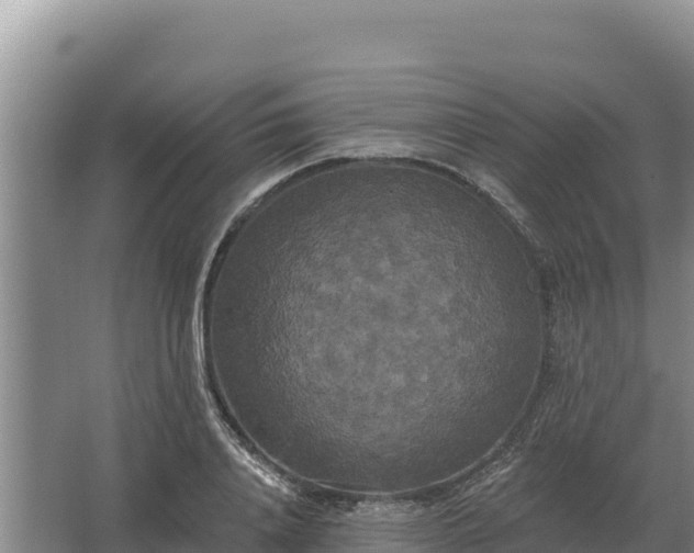 X0000067390840200604071751