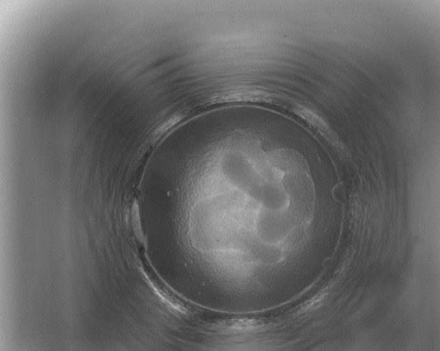 X0000067390841200604071751