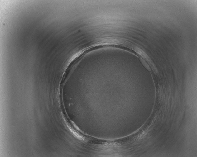 X0000067390842200604071751