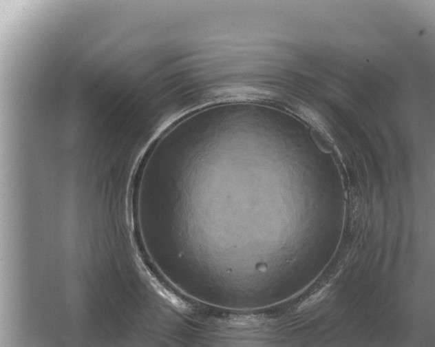 X0000067390843200604071751