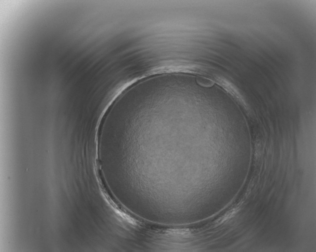 X0000067390844200604071751