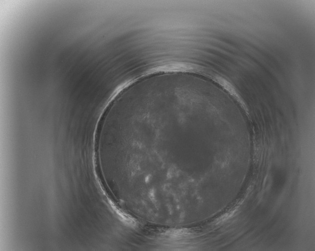 X0000067390845200604071751