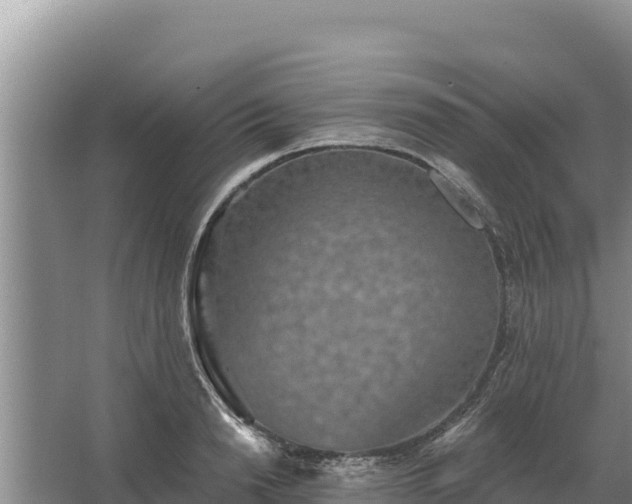 X0000067390846200604071751