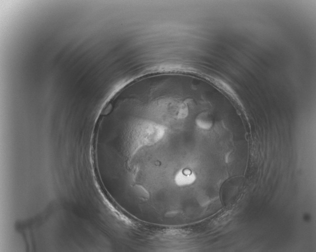 X0000067390847200604071751