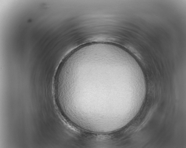 X0000067390848200604071751