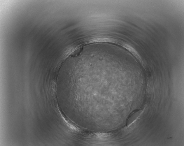 X0000067390849200604071751