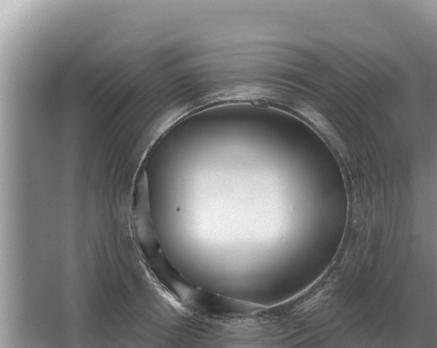 X0000067390850200604071751