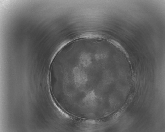 X0000067390855200604071752