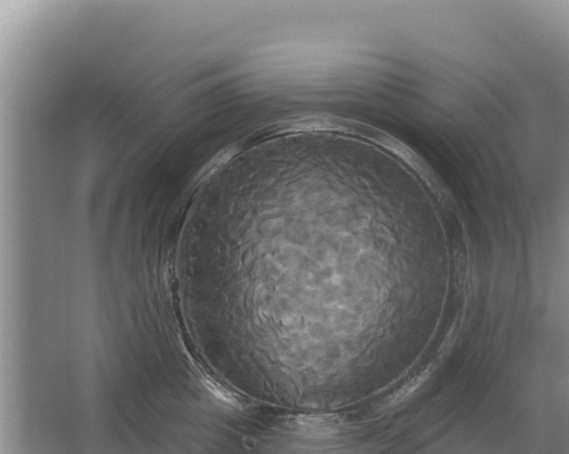 X0000067390857200604071752