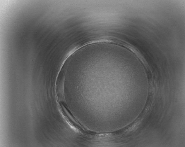 X0000067390858200604071752