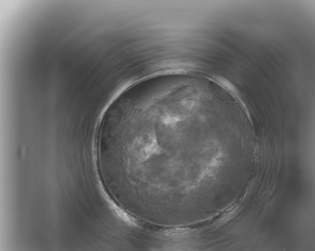 X0000067390859200604071752