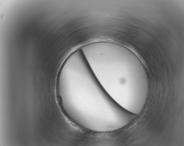 X0000067390861200604071752