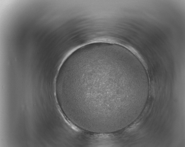 X0000067390862200604071752