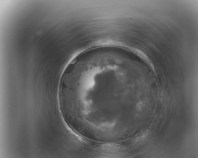 X0000067390863200604071752