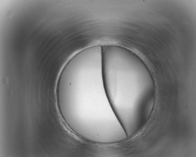 X0000067390864200604071752