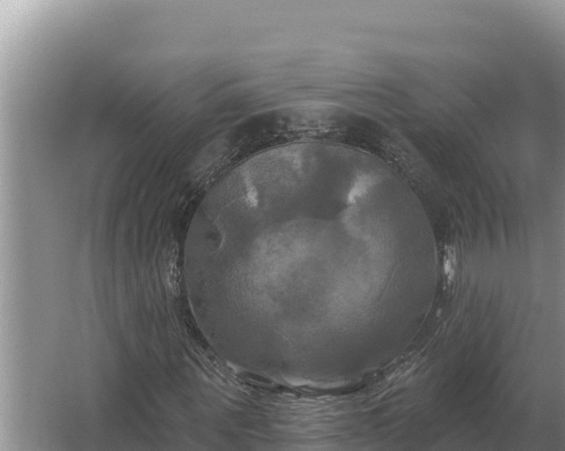 X0000067390867200604071751