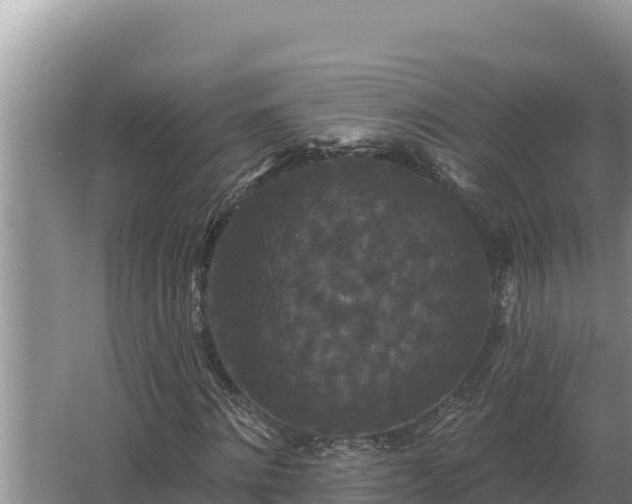 X0000067390868200604071751