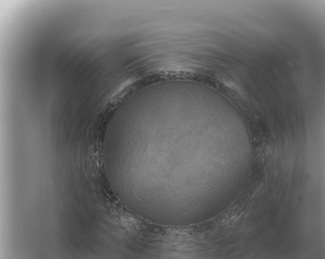 X0000067390870200604071751