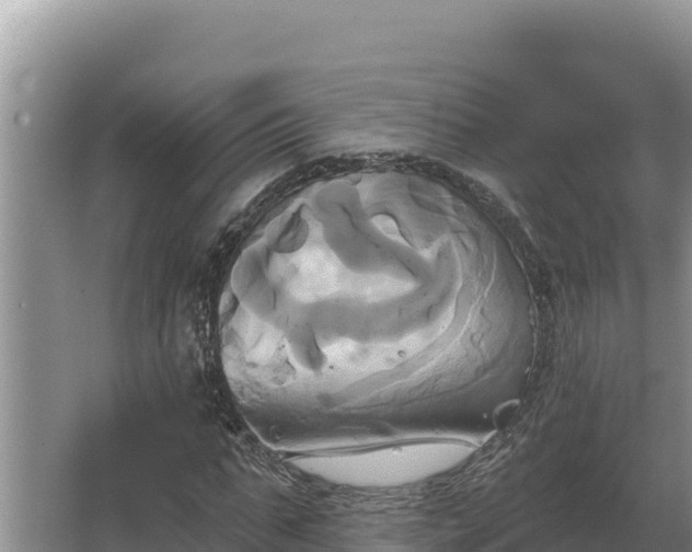 X0000067390871200604071751