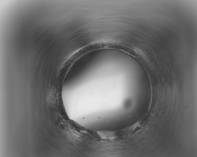 X0000067390872200604071751