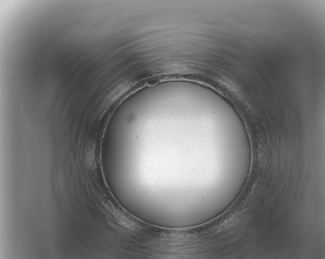 X0000067390873200604071751