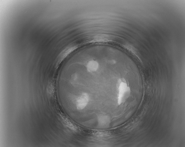 X0000067390874200604071751