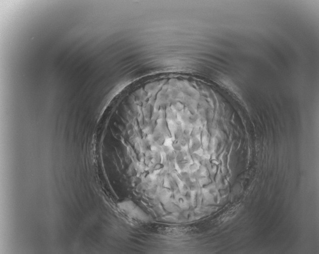 X0000067390875200604071751