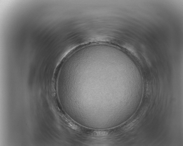 X0000067390878200604071751