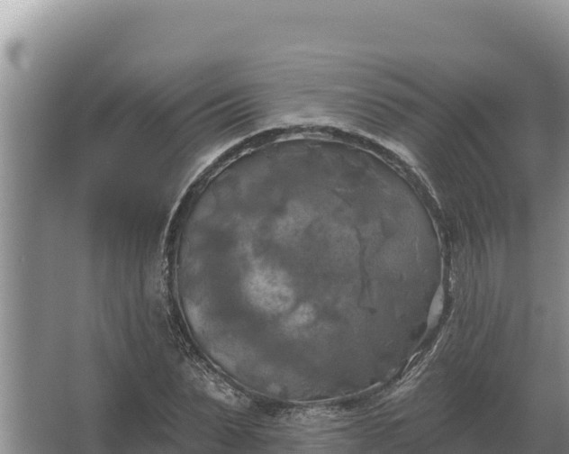 X0000067390879200604071751