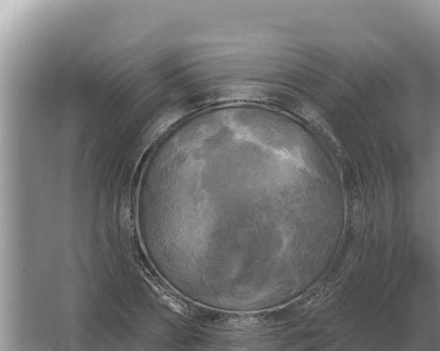 X0000067390882200604071751