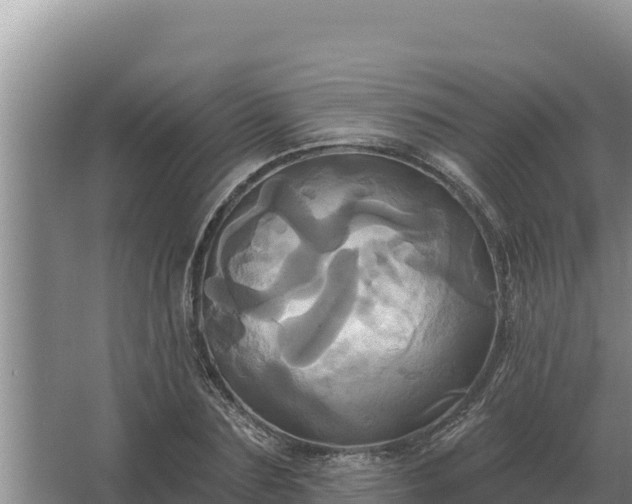 X0000067390883200604071751