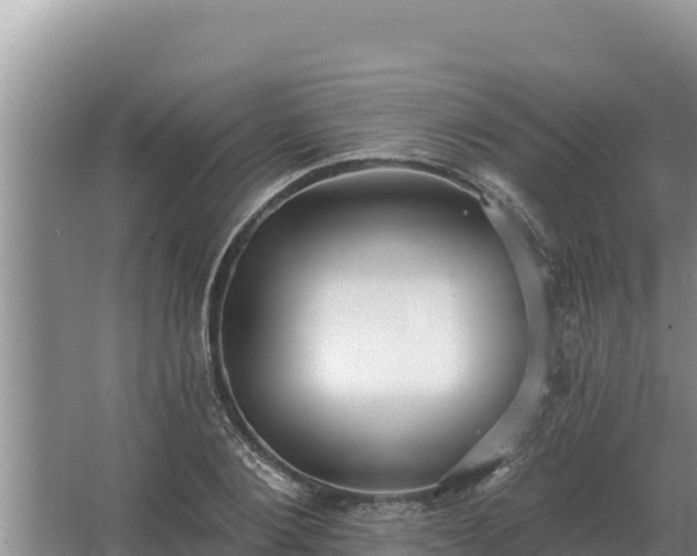 X0000067390884200604071751