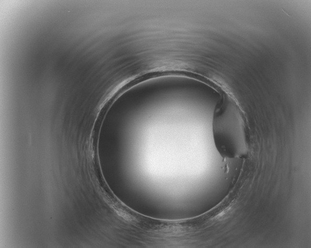 X0000067390885200604071751