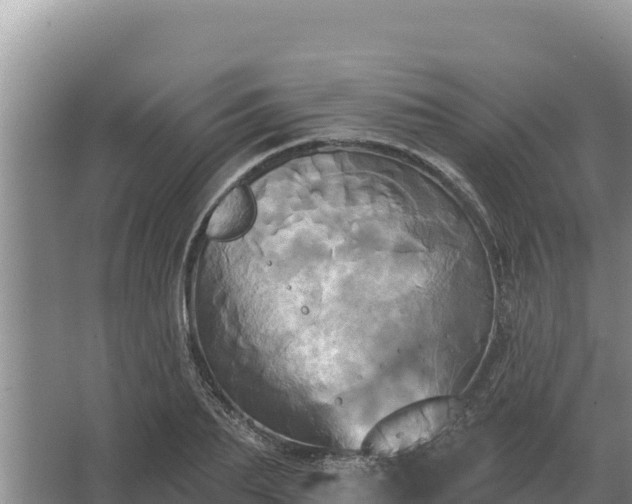 X0000067390887200604071751