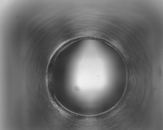 X0000067390888200604071750