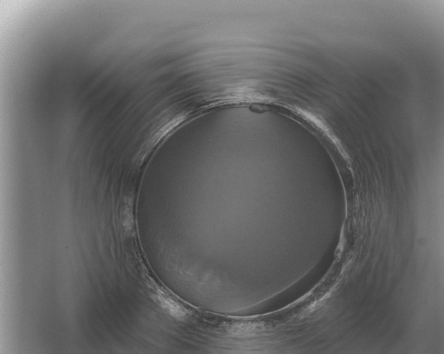 X0000067390889200604071750