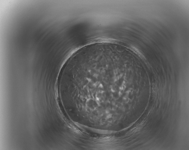 X0000067390891200604071750